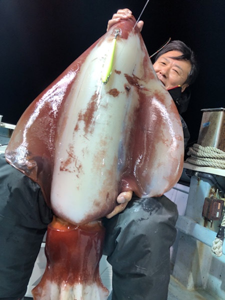 釣りの写真