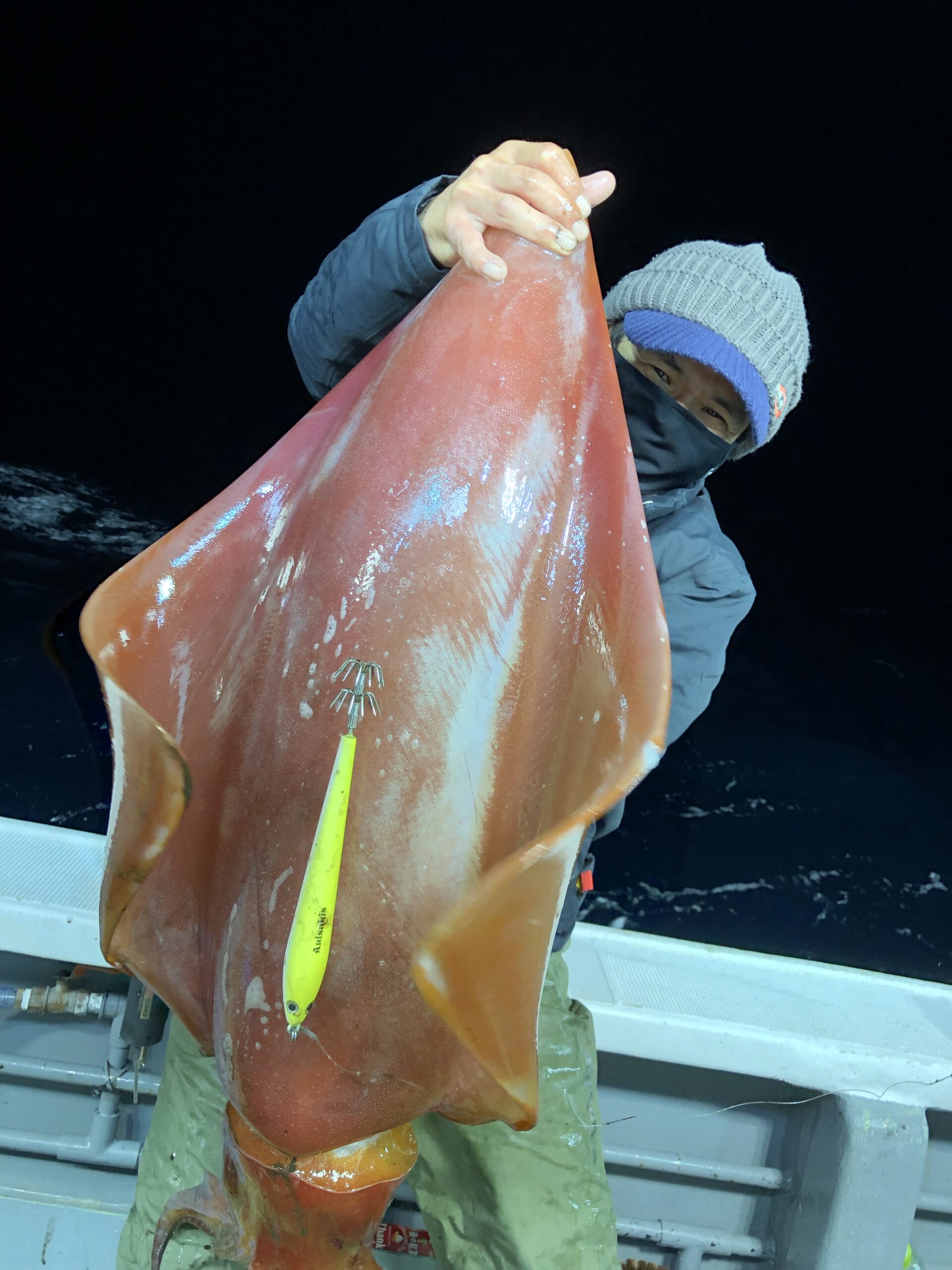 釣りの写真