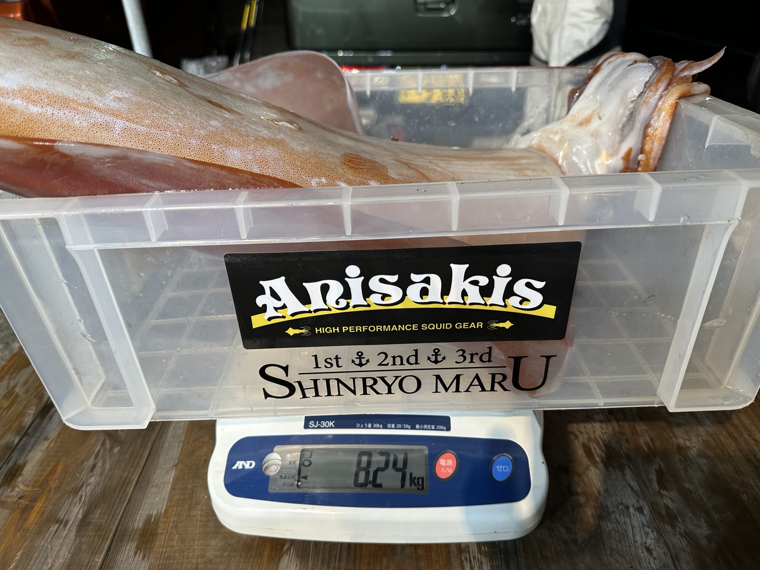 釣りの写真