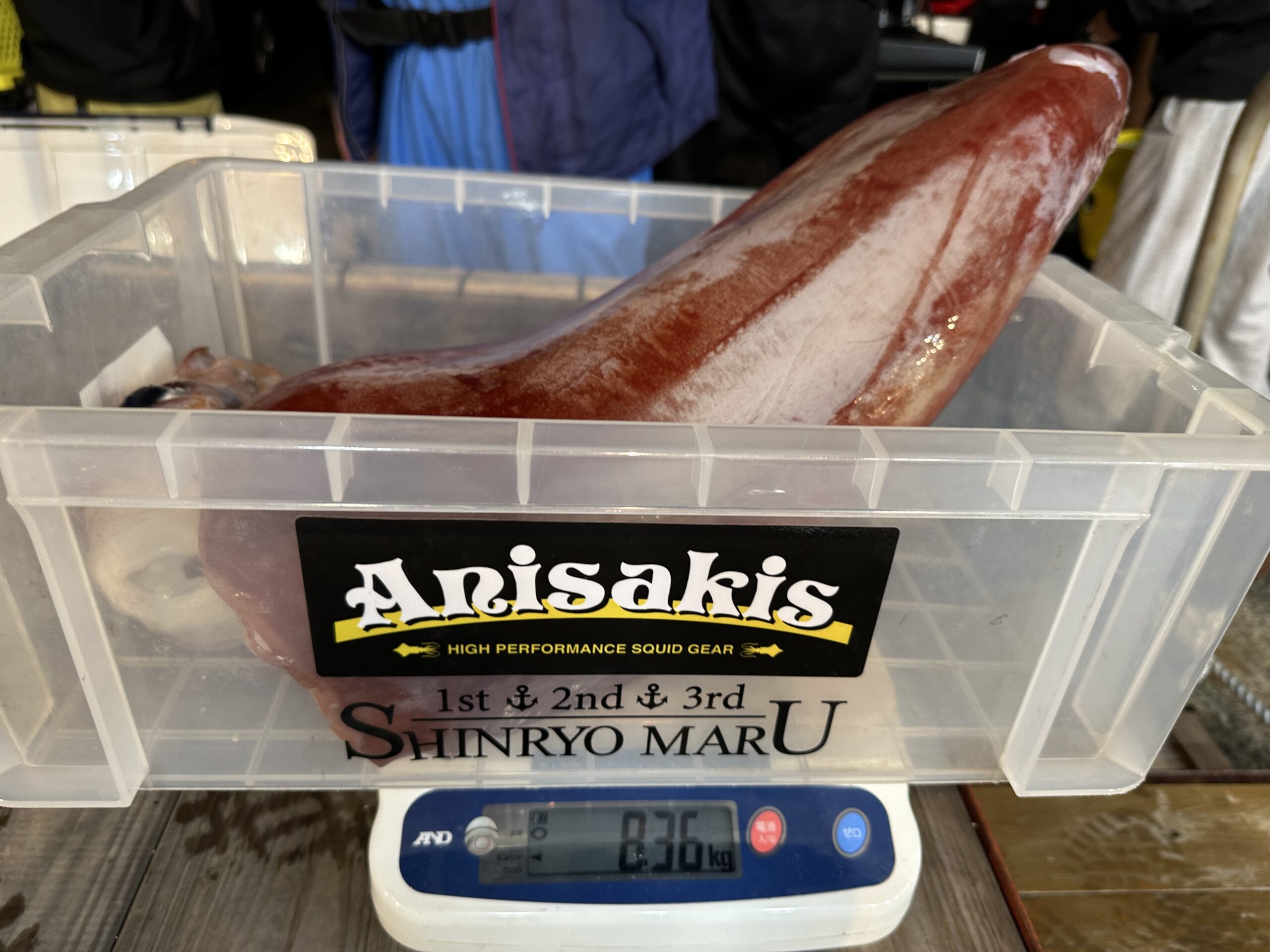 釣りの写真